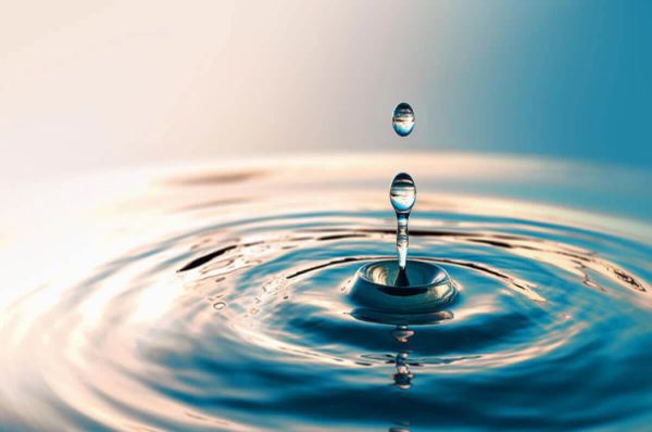 Die Bedeutung von Wasser für das Gehirn